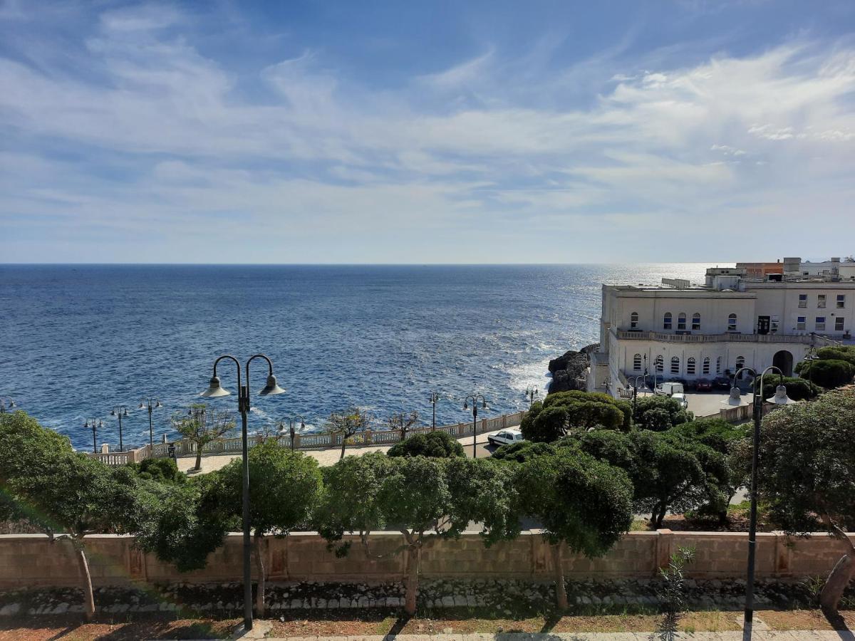 The Terrace Apartment